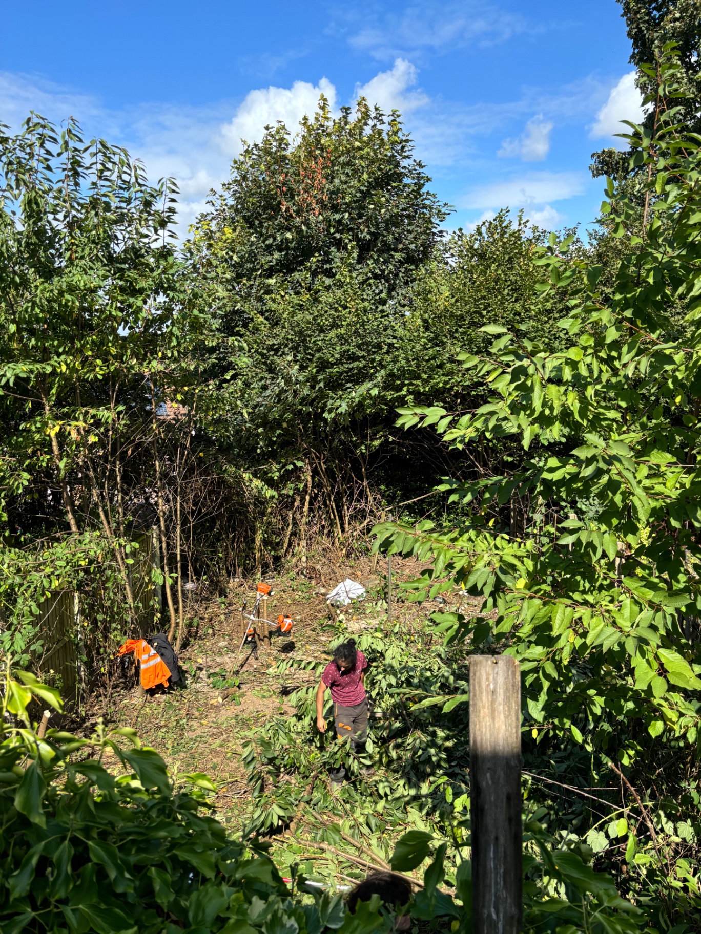 Garden clearance work