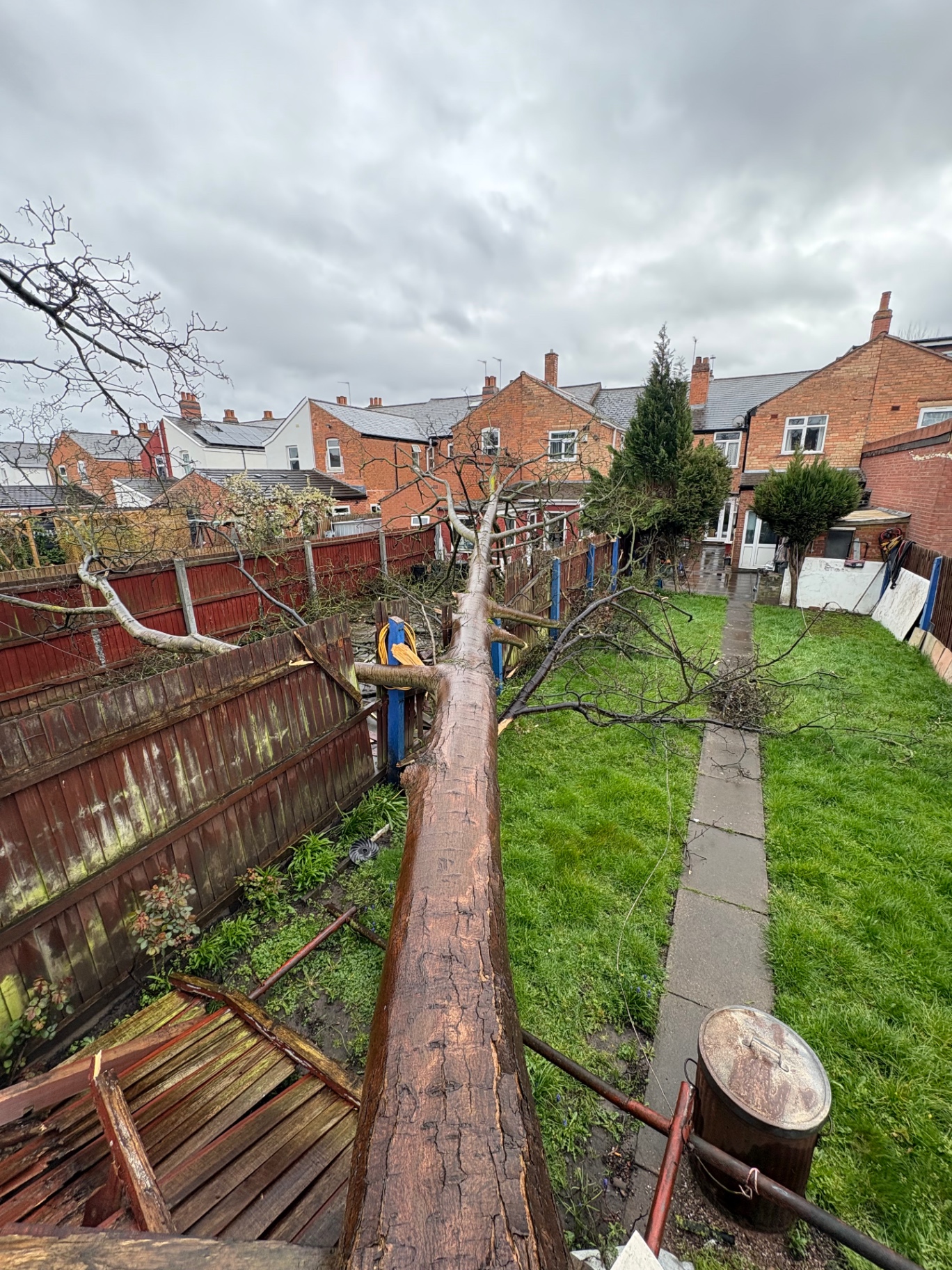 Storm damaged tree fallen across a garden fence