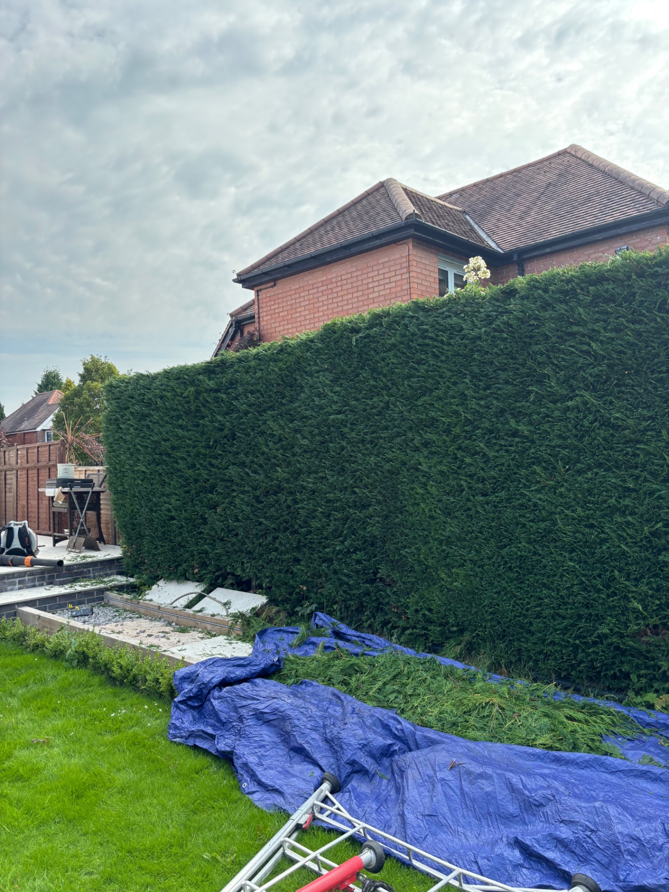 Hedge Trimming