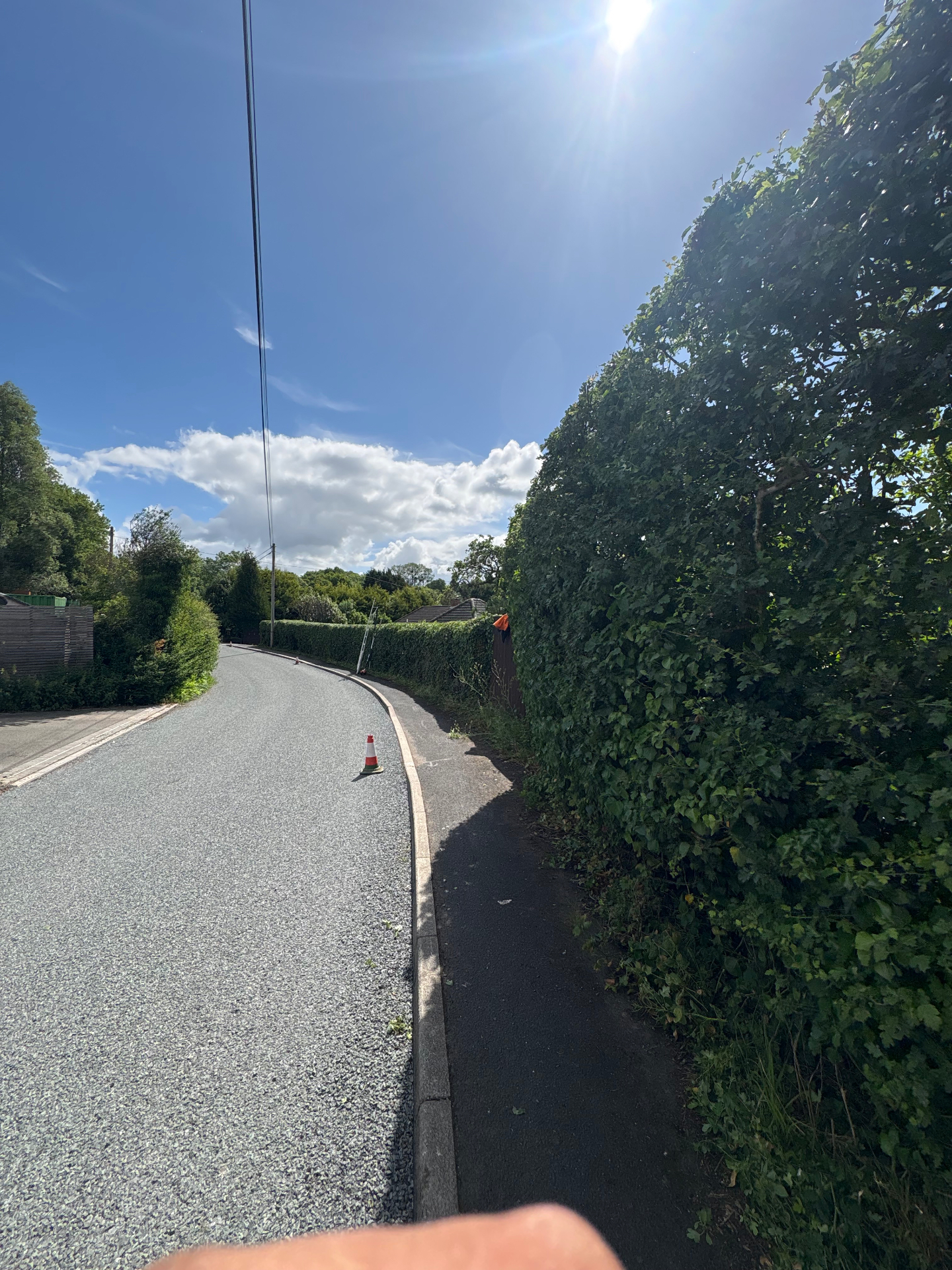 Same hedge neatly trimmed and shaped