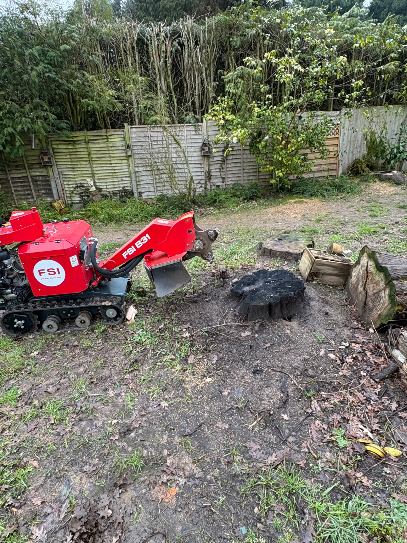 Stump Grinding